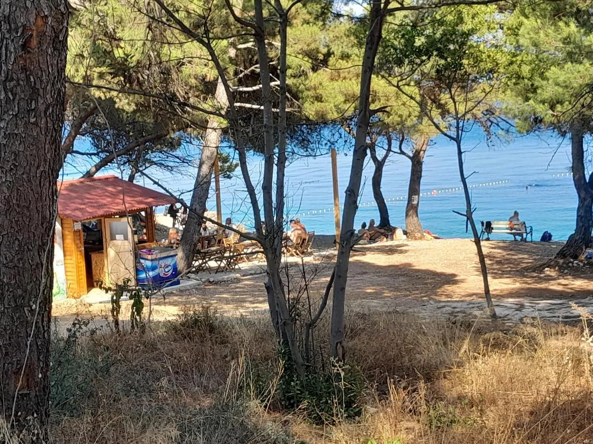 Apartment Apartman Ruby Mali Losinj